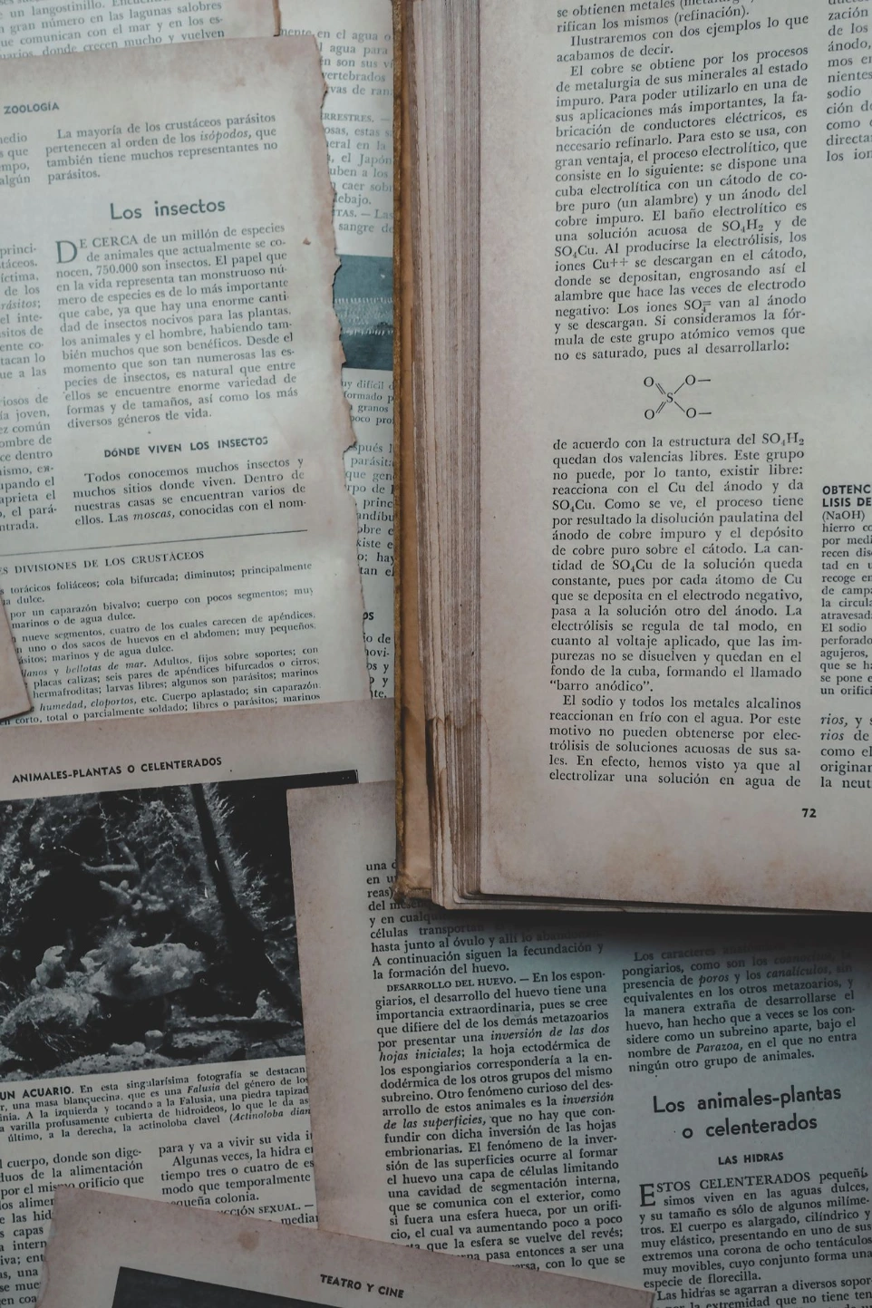 Intelligence artificielle pour les bibliothèques | TEKLIA